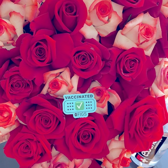 Figs VACCINATED ✅ Sticker - Picture 2 of 2